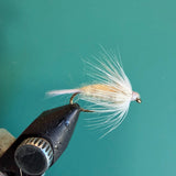 Fishing fly lure with dark segmented body and white/cream feather tail