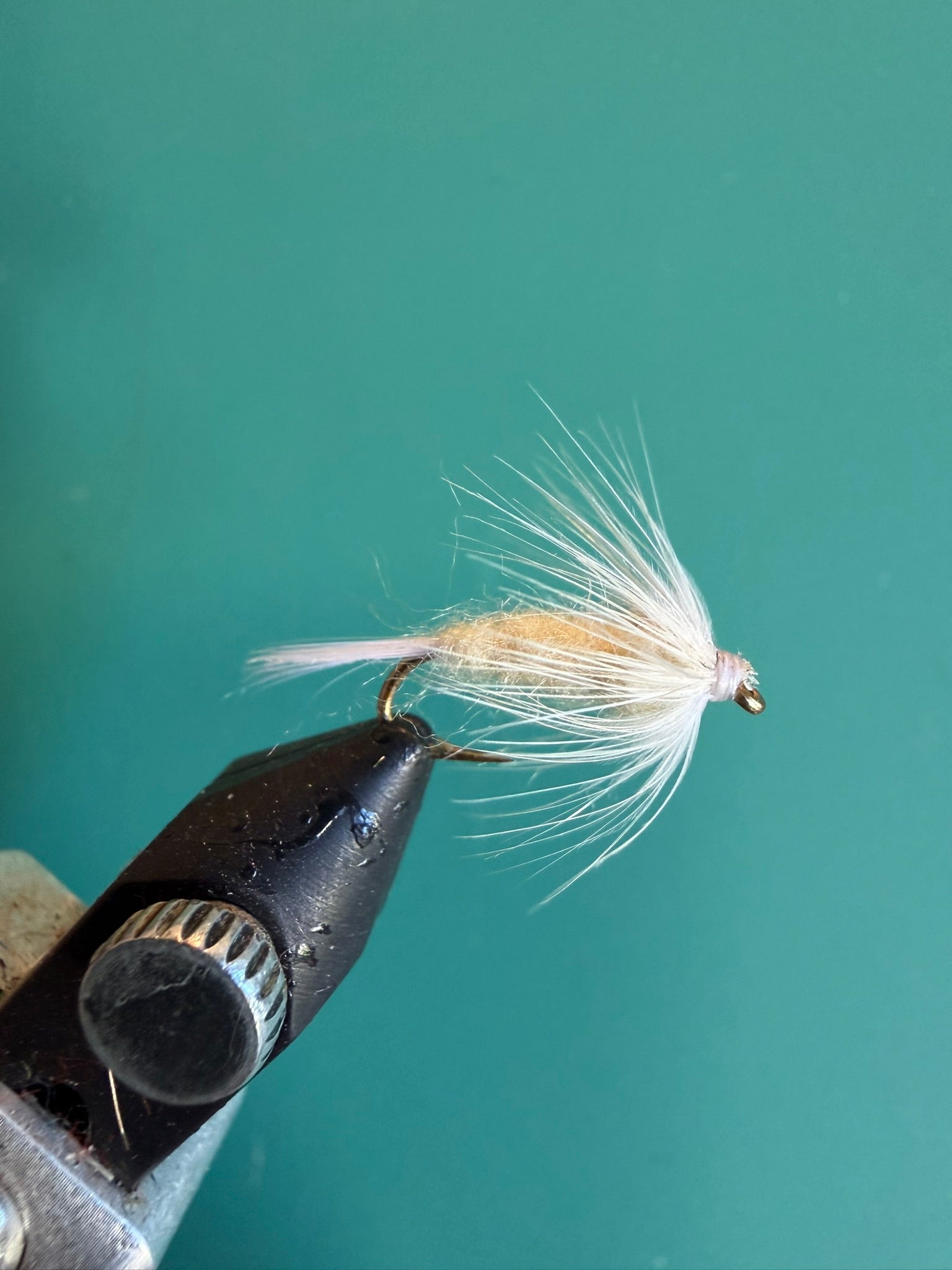 Fishing fly lure with dark segmented body and white/cream feather tail