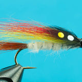 Little Brown Trout
