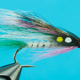Little Rainbow Trout