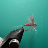 Mahogany Dun