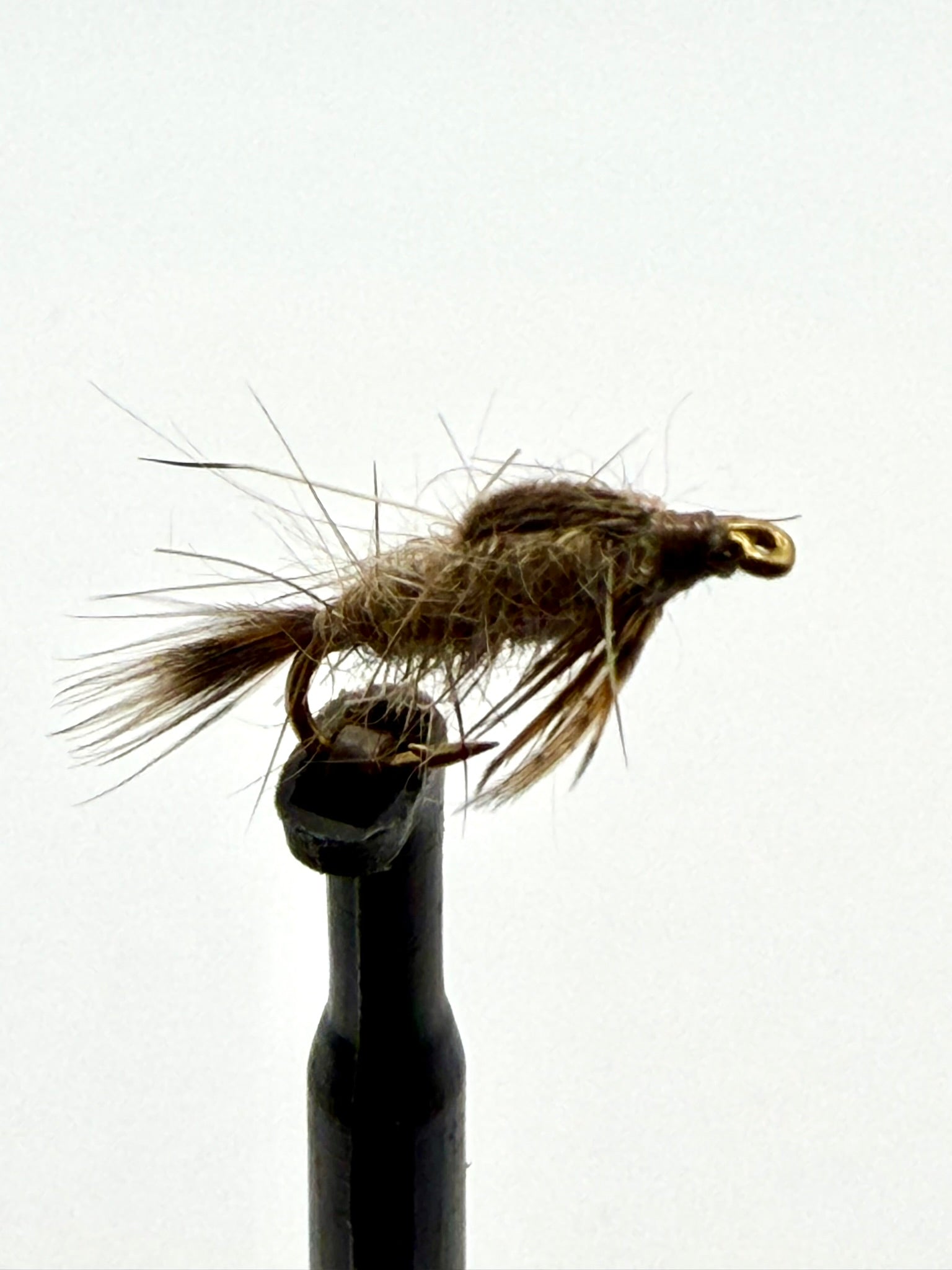 Brown feather fishing fly with gold hook on black holder