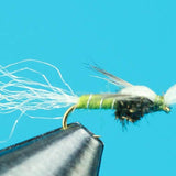 Mayhem Midge