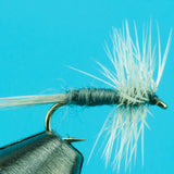 Midges