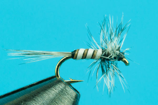 Midges