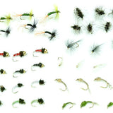 Midge Life Cycle Assortment #36