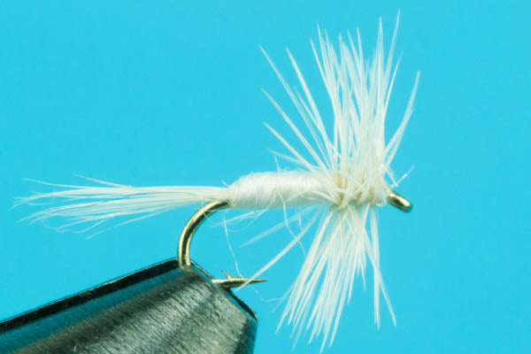 Midges