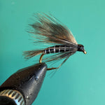 Dark wet fishing fly with bronze hackle and gold wire on metal hook