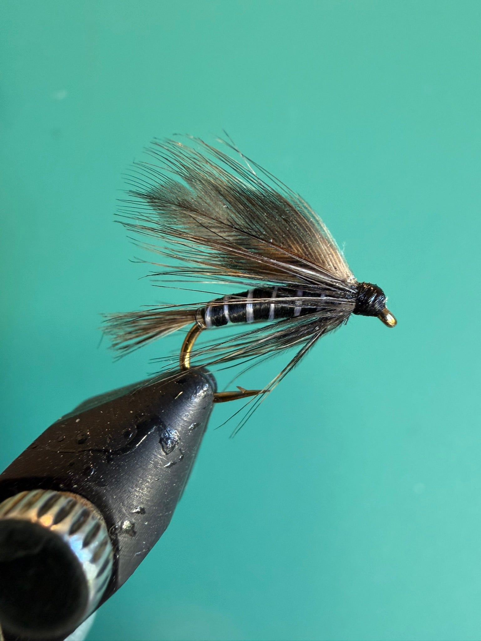 Dark wet fishing fly with bronze hackle and gold wire on metal hook