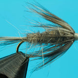 Muskrat