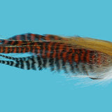 Musky Brown