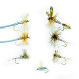 Adams Fly Assortment--24 Flies #1