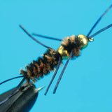 Tungsten Double Bead Pat's RubberLeg