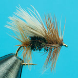 Peacock Caddis - Dry Fly