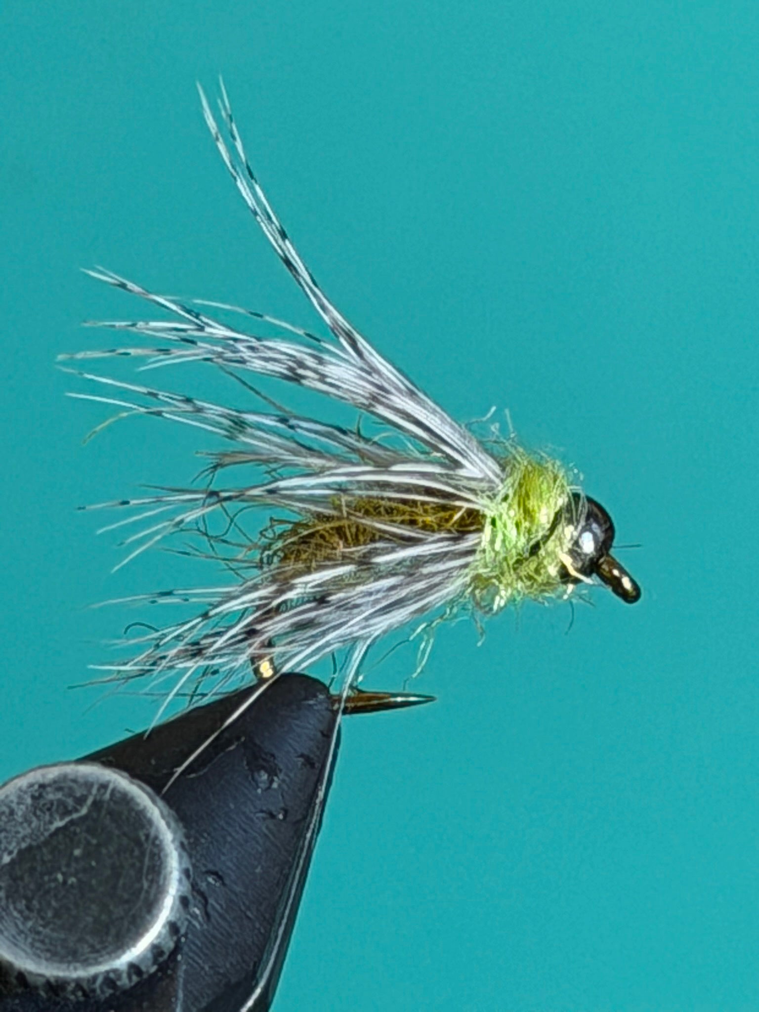Caddis fly fishing lure with silvery wings and bright green body on hook