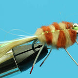 Permit Crab