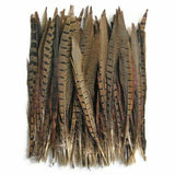 Pheasant Tail