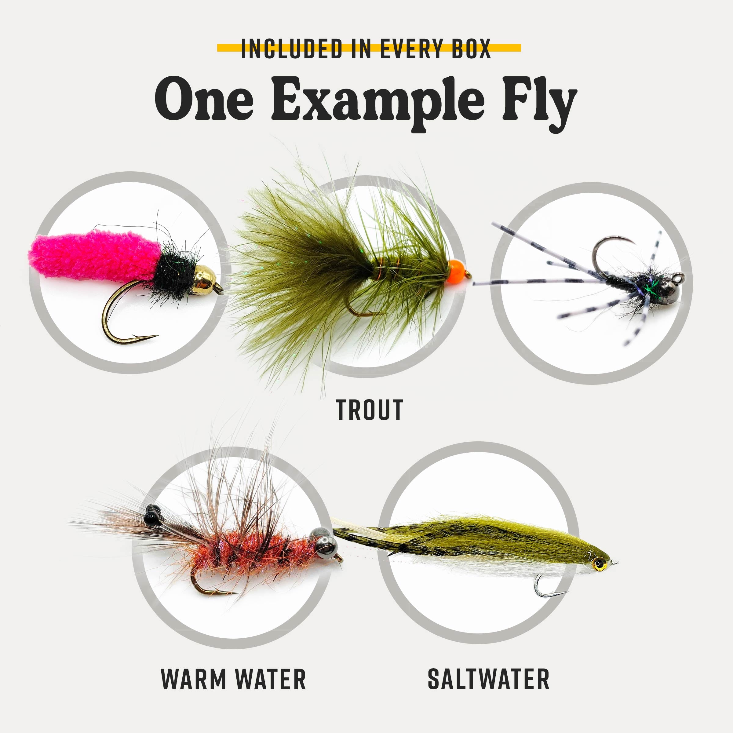 Example fly assortment showing trout, warm water, and saltwater fly patterns.