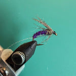 Purple soft hackle fishing fly with purple body, black hook, and sparse long fibers