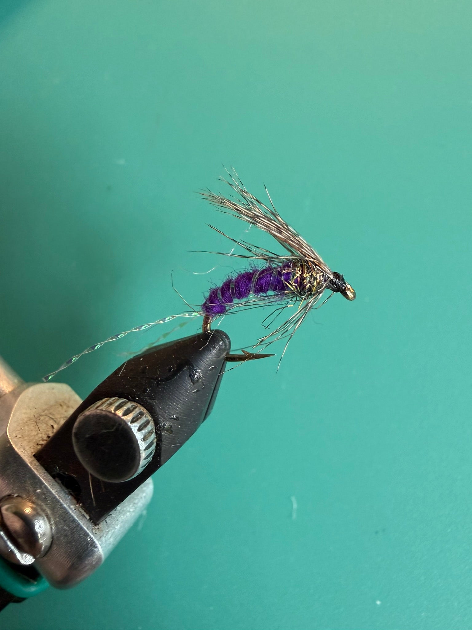 Purple soft hackle fishing fly with purple body, black hook, and sparse long fibers