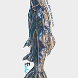 Rainbow Ridge Sticker