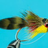 Rainbow Minnow
