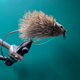 Rat