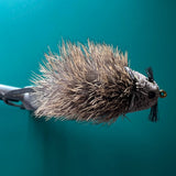 Rat