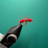 Red Ant
