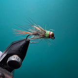 Red and Green Euro