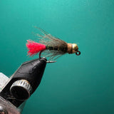 Red Tail CDC