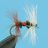 Royal Renegade Dry Fly