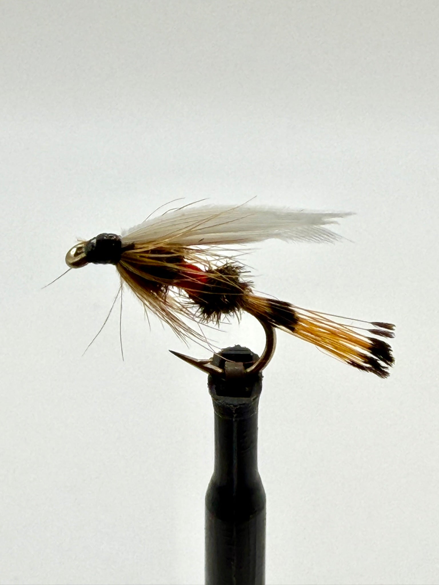 Wet fishing fly on a holder, with feathered tan and black body and red accent band
