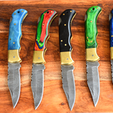 Back Lock Mechanism Folding Pocket Knives with 5 Variants of Handle Materials and Brass Bolster, 3-inch Blade Length