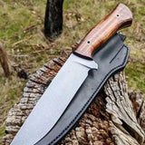 Custom Hunting Knife Tool Steel Blade & Burl Rosewood Handle
