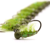 Scud Olive