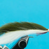 Sculpin Leech