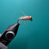 Sexy Walts Worm