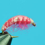 Shrimp Scud