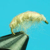 Shrimp Scud
