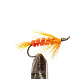 JHFLYCO Loaded Foam Fly Box - Salmon Fly Assortment