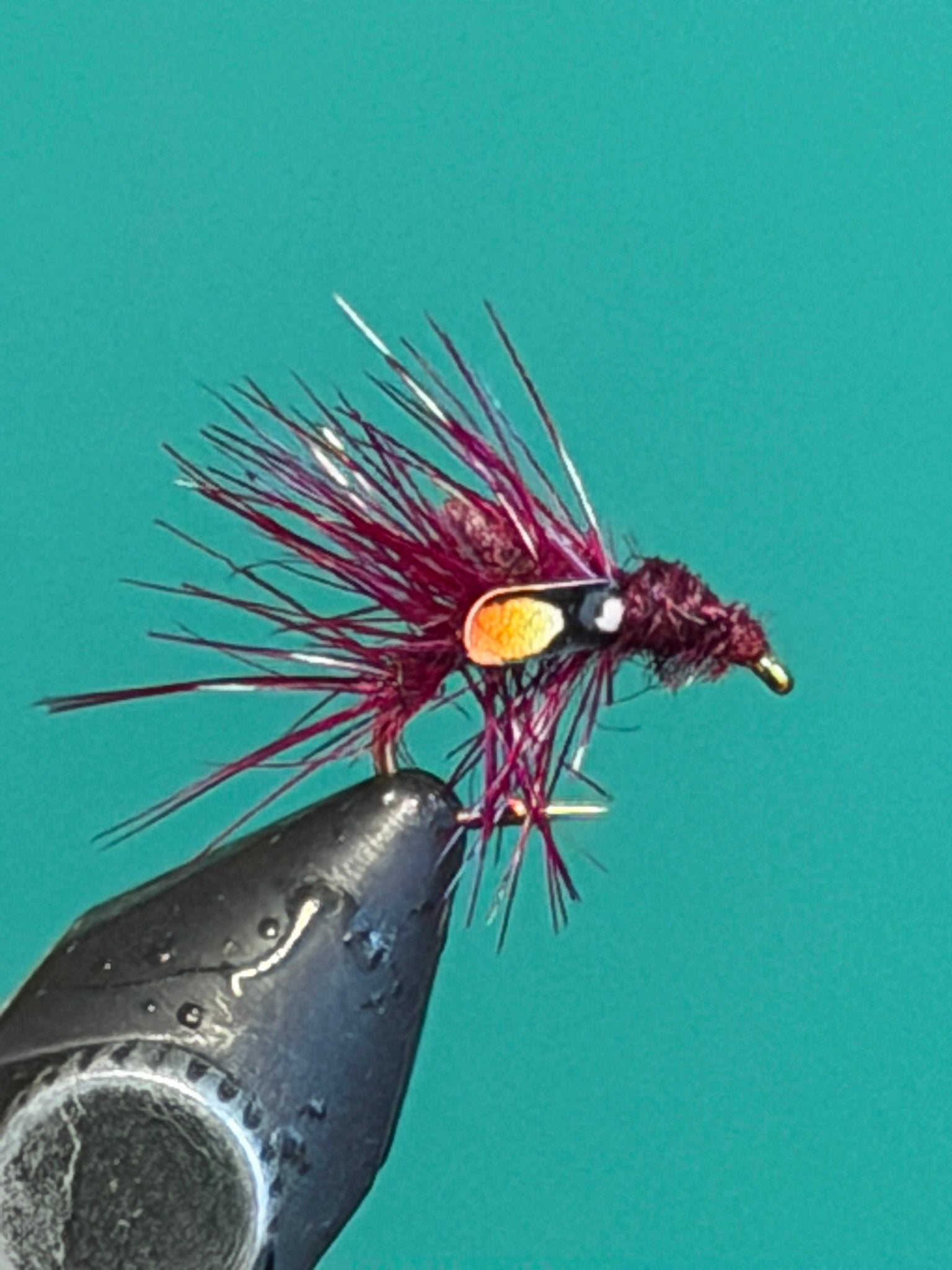 Feather fly fishing lure with black body and purple-pink marabou tail