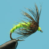 Soft Hackle Caddis