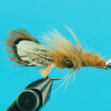 Soft Shell Crayfish