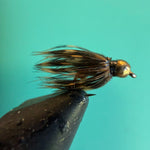 Soft hackle fishing fly with gold bead head and brown feather hackle on hook