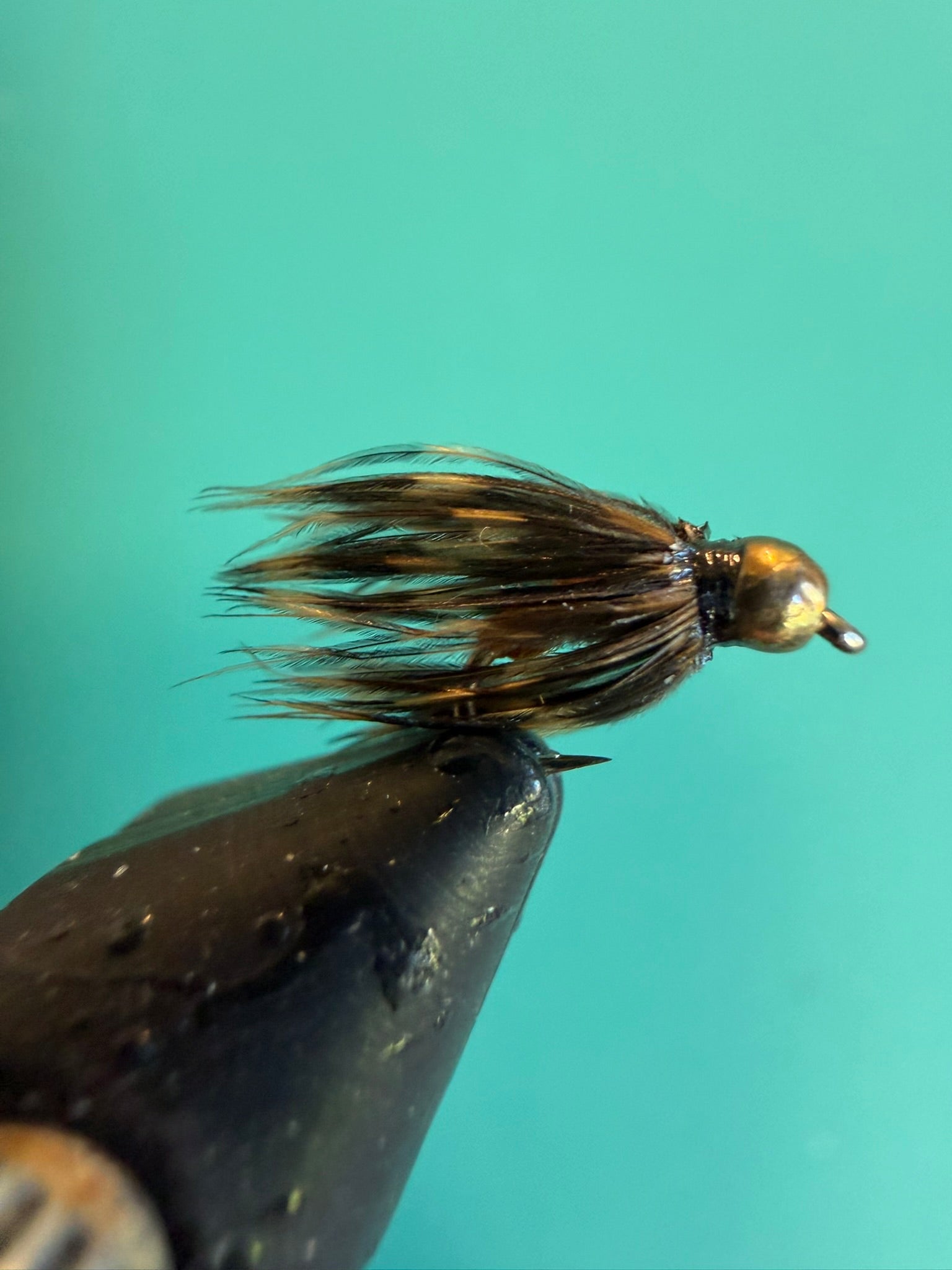 Soft hackle fishing fly with gold bead head and brown feather hackle on hook