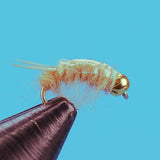 Sow Bug-Beadhead