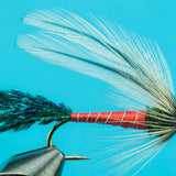 Spruce Fly