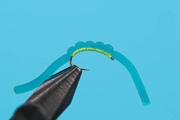 Squirmy Worm