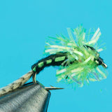 Steelhead Hammer